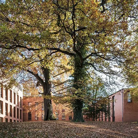 Arcadeon Hotel Hagen (Arnsberg)